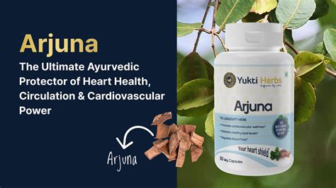 Arjuna: The Ultimate Ayurvedic Protector of Heart Health, Circulation ...
