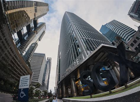 Navigating the new market reality of volatility and divergence - The Business Times