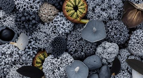 What Is the Impact of Carbon Fees on Behavior? → Learn