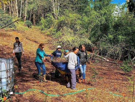 Volunteer Work Party at North Creek Forest on Feb 7th!, 20598 112th Ave ...