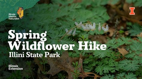 Spring Wildflower Hike - Illini State Park, Illini State Park ...