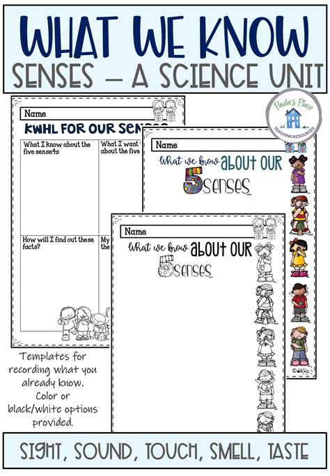 My Five Senses Science Pack - Paula's Place