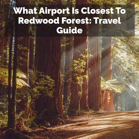 What Airport Is Closest To Redwood Forest: Travel Guide