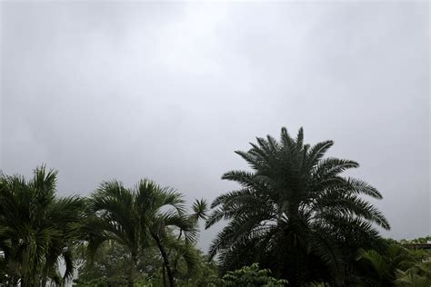 Recôncavo e litoral baiano seguem em atenção com risco de alagamentos e deslizamentos, alerta ...