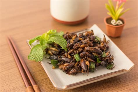 Insetti a tavola, continuano le ricerche sulle strategie di persuasione