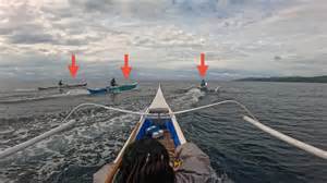 Secrets of marine ecosystems revealed!