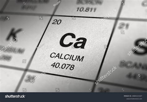 8,847 Crianza Calcio Royalty-Free Images, Stock Photos & Pictures ...