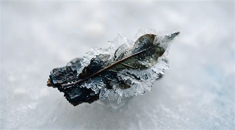 What Is the Science Based Targets Initiative (SBTi) and Its Role in Validation? → Learn