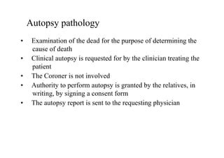 LECTURE 1. INTRODUCTION TO PATHOLOGY.pptx.pdf