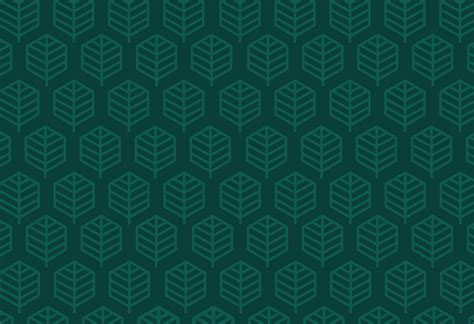 MM NOIR Live Terpene Cartridge | 1g 1g Vaporizers | Timeless