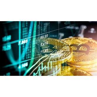 Join the Revolution: Explore how can i make money grow Today!