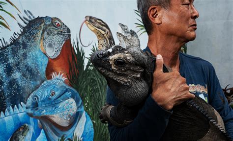 World's largest reptile zoo is short drive from Naples, Fort Myers. Why ...