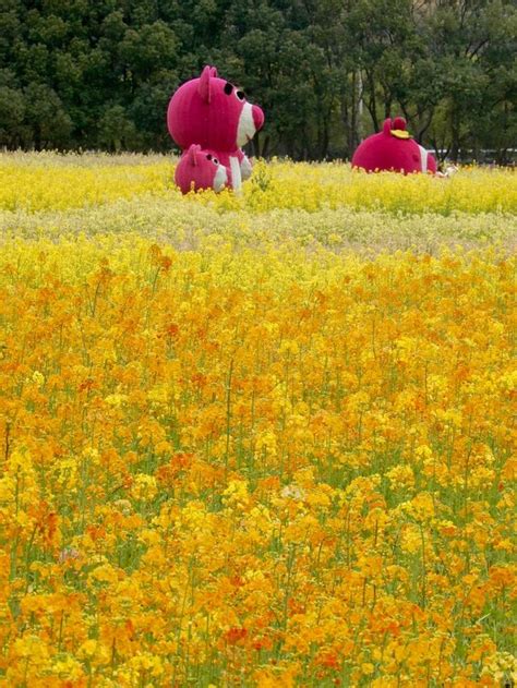 Hangzhou Spring Flower Viewing Map | Trip.com Hangzhou