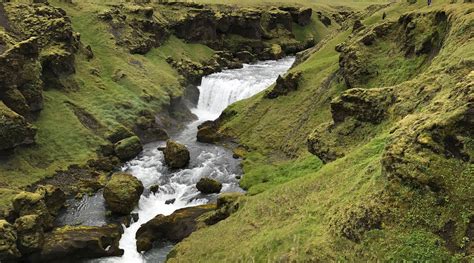 SKOGAR HOSTEL - Hostel Reviews & Photos - Tripadvisor