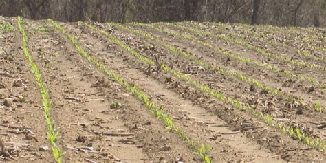 Senators Baldwin, Thune want farmers more informed on fertilizer prices