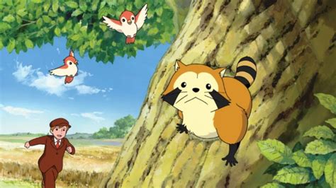 Hace casi 50 años se estrenó un anime con un adorable mapache. Las ...