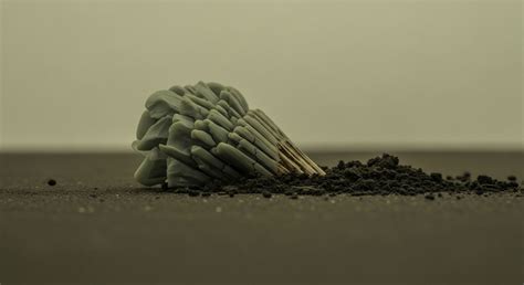 What Are the Specific Costs of Treating Nitrogen-Contaminated Drinking ...