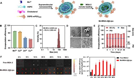 Temporally programmed STING nanoadjuvant delivery unlocks synergistic chemotherapy-induced ...