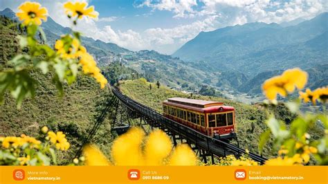 Muong Hoa Valley: A Journey Through Sapa's Premier Trekking Corridor ...