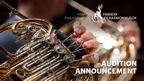 Open Audition of Pannon Philharmonic, 2026 April