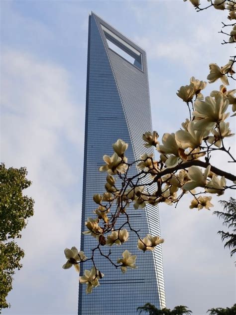Magic City's Lujiazui, the pinnacle of spring scenery | Trip.com Shanghai