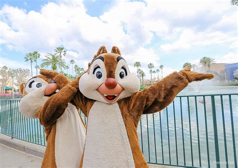 Meet Chip 'n' Dale at Walt Disney World (Every Location with Photos)