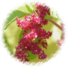 Intergenerational Transmission of Metabolic Changes in Oocytes From ...