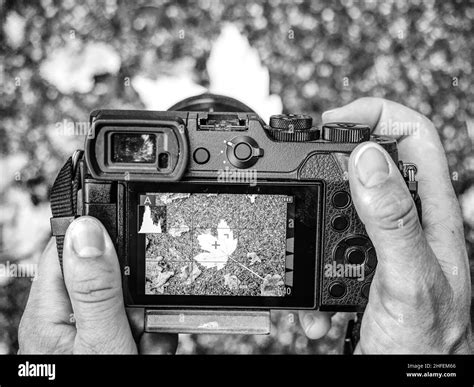 Shooting trees out focus hi-res stock photography and images - Alamy