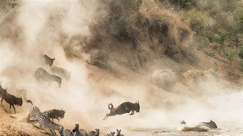 Natural World Phenomena