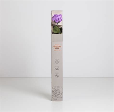 Preserved flowers · Mother’s Day · long-lasting gift