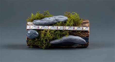 Credentialing Programs → Area → Sustainability