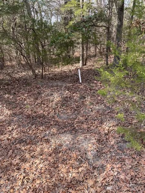 Wildwood, Murchison, TX 75778 [Updated 2/18]