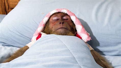 Suddenly Cutis Refuses Treatment Despite Dad Efforts to Help