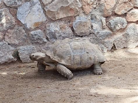 Monaco Animal Garden: Information, Tickets and Reviews