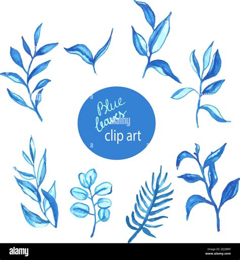 Watercolor green blue leaves Stock Vector Images - Alamy