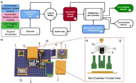 Microfluidic Platform for Automated Organoid Culture and Imaging