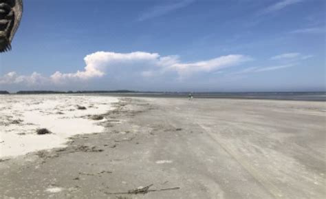 Gated Secluded Marsh View, Seabrook Island - Book with Updated Prices ...