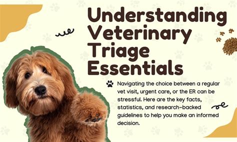 Urgent Care vs ER for Pets: A Quick Triage Guide — Animal Hearted Apparel