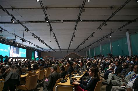 COP29 | UN News