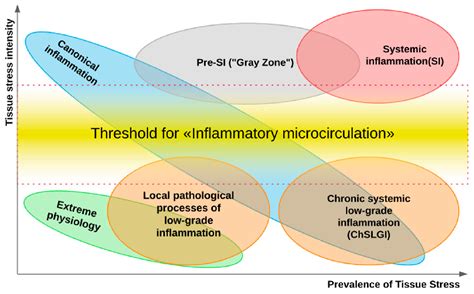 The Pathogenesis of End-Stage Renal Disease from the Standpoint of the ...