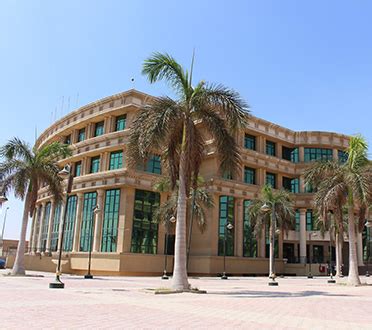 MSA University Announces International Summer Internship Opportunities ...