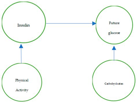 DAGs and GRaSP Causal Inference Algorithms Combined and Applied to the Calculation of Insulin ...