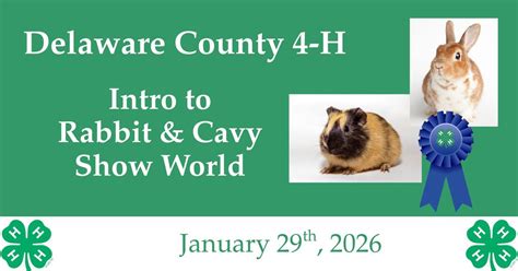 Intro to the Rabbit & Cavy Show World, 34570 State Highway 10, Ste 2 ...