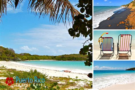 Vieques Puerto Rico - Best Things to Do, Tours & Travel Guide - 2026