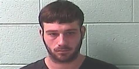 Police: Pit bulls kill man, Kentucky dog owner arrested