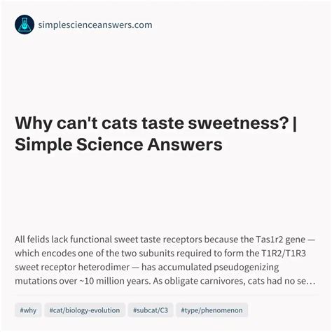 Why can't cats taste sweetness? | Simple Science Answers