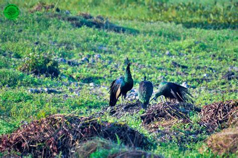 Image result for Gmail Lessons