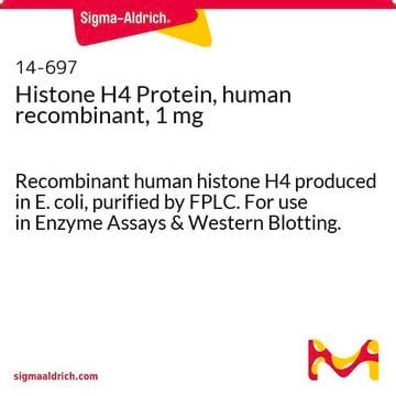 Histone H4 Protein, human recombinant, 1 mg Recombinant human histone ...