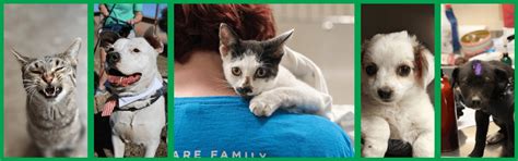 Community Outreach | Austin Animal Services | AustinTexas.gov