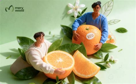 Ascorbic Acid Production - Merywood